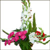 Be Mine - Click here to View more details about this Product